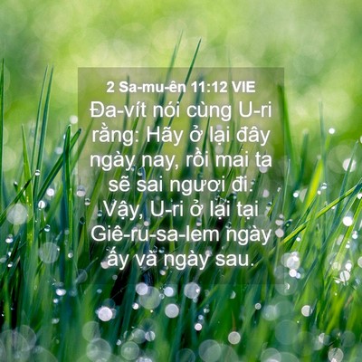 Picture 04 - 2 Sa-mu-ên 11:12 VIE - Đa-vít nói cùng U-ri rằng: Hãy ở lại - Bible Verse Picture