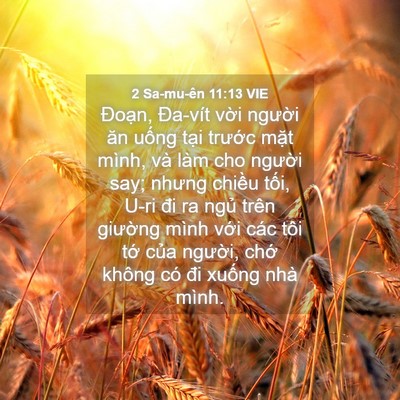 Picture 04 - 2 Sa-mu-ên 11:13 VIE - Đoạn, Đa-vít vời người ăn uống tại - Bible Verse Picture