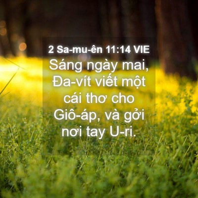 Picture 04 - 2 Sa-mu-ên 11:14 VIE - Sáng ngày mai, Đa-vít viết một cái thơ - Bible Verse Picture