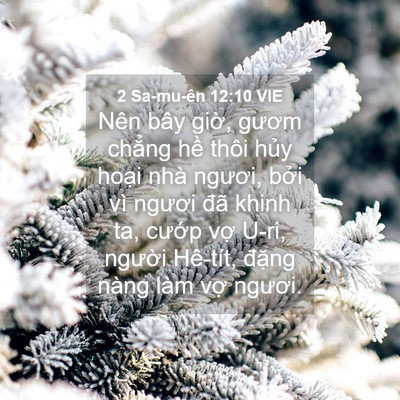 Picture 04 - 2 Sa-mu-ên 12:10 VIE - Nên bây giờ, gươm chẳng hề thôi hủy - Bible Verse Picture