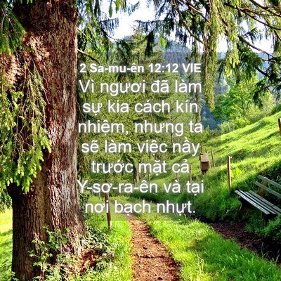 Picture 04 - 2 Sa-mu-ên 12:12 VIE - Vì ngươi đã làm sự kia cách kín - Bible Verse Picture