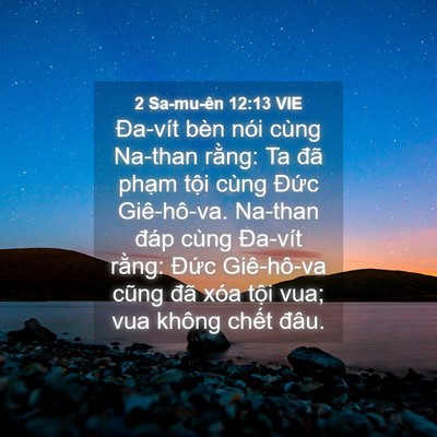 Picture 04 - 2 Sa-mu-ên 12:13 VIE - Đa-vít bèn nói cùng Na-than rằng: Ta đã - Bible Verse Picture