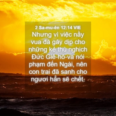 Picture 04 - 2 Sa-mu-ên 12:14 VIE - Nhưng vì việc nầy vua đã gây dịp cho - Bible Verse Picture