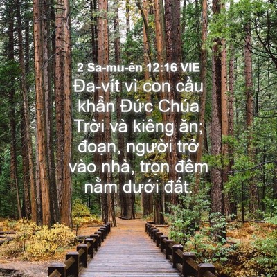 Picture 04 - 2 Sa-mu-ên 12:16 VIE - Đa-vít vì con cầu khẩn Đức Chúa Trời - Bible Verse Picture