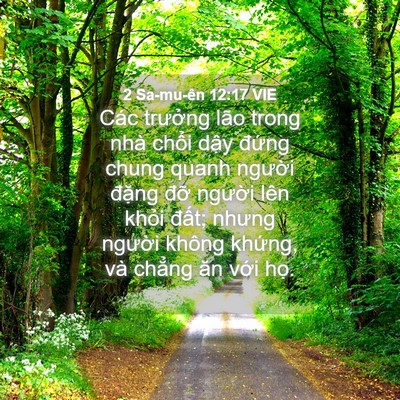 Picture 04 - 2 Sa-mu-ên 12:17 VIE - Các trưởng lão trong nhà chổi dậy - Bible Verse Picture