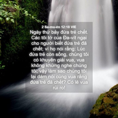 Picture 04 - 2 Sa-mu-ên 12:18 VIE - Ngày thứ bảy đứa trẻ chết. Các tôi - Bible Verse Picture