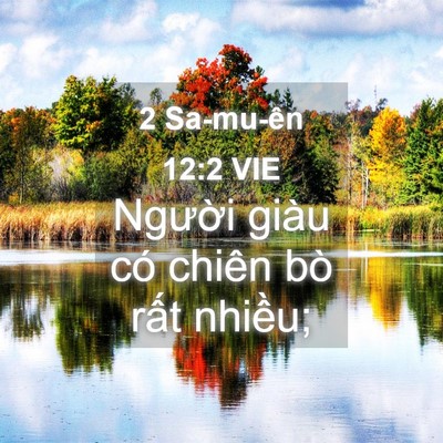Picture 04 - 2 Sa-mu-ên 12:2 VIE - Người giàu có chiên bò rất - Bible Verse Picture