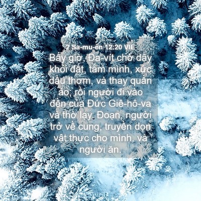 Picture 04 - 2 Sa-mu-ên 12:20 VIE - Bấy giờ, Đa-vít chờ dậy khỏi đất, - Bible Verse Picture