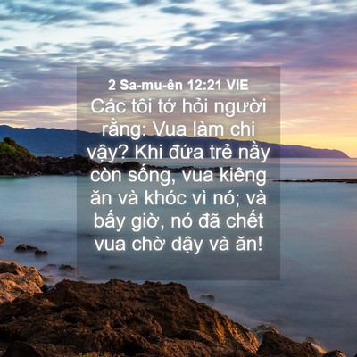 Picture 04 - 2 Sa-mu-ên 12:21 VIE - Các tôi tớ hỏi người rằng: Vua làm - Bible Verse Picture