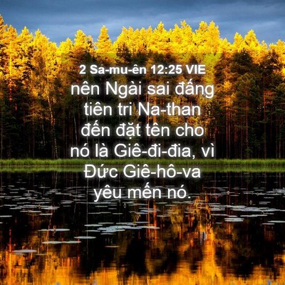 Picture 04 - 2 Sa-mu-ên 12:25 VIE - nên Ngài sai đấng tiên tri Na-than đến - Bible Verse Picture