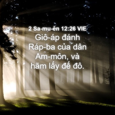 Picture 04 - 2 Sa-mu-ên 12:26 VIE - Giô-áp đánh Ráp-ba của dân Am-môn, và - Bible Verse Picture