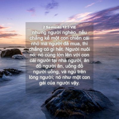Picture 04 - 2 Sa-mu-ên 12:3 VIE - nhưng người nghèo, nếu chẳng kể một - Bible Verse Picture