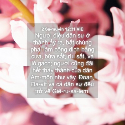 Picture 04 - 2 Sa-mu-ên 12:31 VIE - Người điệu dân sự ở thành ấy ra, - Bible Verse Picture