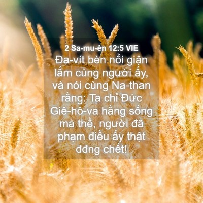 Picture 04 - 2 Sa-mu-ên 12:5 VIE - Đa-vít bèn nổi giận lắm cùng người - Bible Verse Picture