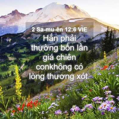 Picture 04 - 2 Sa-mu-ên 12:6 VIE - Hắn phải thường bốn lần giá chiên - Bible Verse Picture