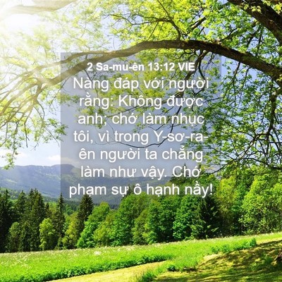 Picture 04 - 2 Sa-mu-ên 13:12 VIE - Nàng đáp với người rằng: Không - Bible Verse Picture