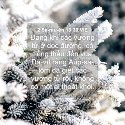 Picture 04 - 2 Sa-mu-ên 13:30 VIE - Đang khi các vương tử ở dọc đường, - Bible Verse Picture