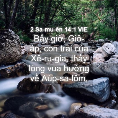 Picture 04 - 2 Sa-mu-ên 14:1 VIE - Bấy giờ, Giô-áp, con trai của Xê-ru-gia, - Bible Verse Picture