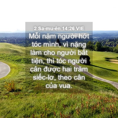 Picture 04 - 2 Sa-mu-ên 14:26 VIE - Mỗi năm người hớt tóc mình, vì nặng - Bible Verse Picture