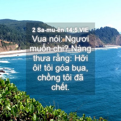 Picture 04 - 2 Sa-mu-ên 14:5 VIE - Vua nói: Ngươi muốn chi? Nàng thưa rằng: - Bible Verse Picture