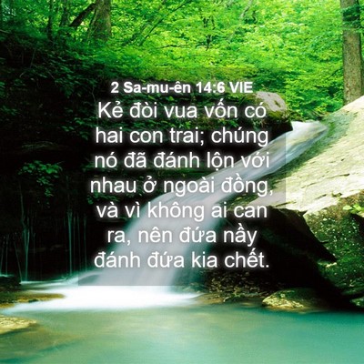 Picture 04 - 2 Sa-mu-ên 14:6 VIE - Kẻ đòi vua vốn có hai con trai; chúng nó - Bible Verse Picture