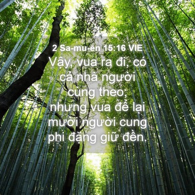 Picture 04 - 2 Sa-mu-ên 15:16 VIE - Vậy, vua ra đi, có cả nhà người cùng - Bible Verse Picture