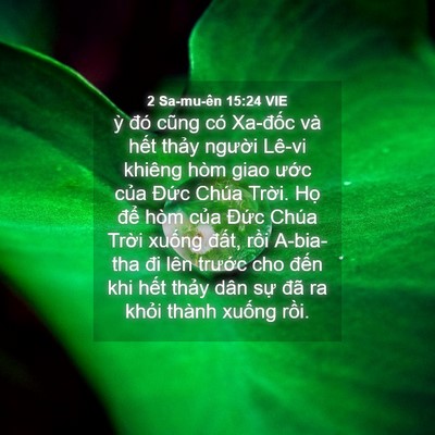 Picture 04 - 2 Sa-mu-ên 15:24 VIE - ỳ đó cũng có Xa-đốc và hết thảy - Bible Verse Picture