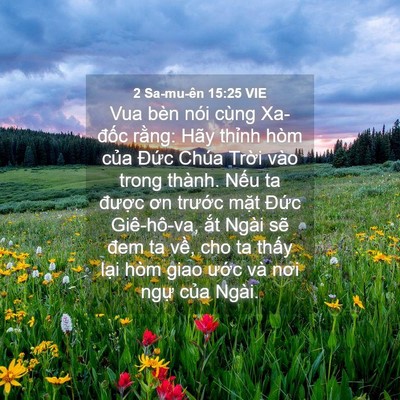 Picture 04 - 2 Sa-mu-ên 15:25 VIE - Vua bèn nói cùng Xa-đốc rằng: Hãy - Bible Verse Picture
