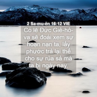 Picture 04 - 2 Sa-mu-ên 16:12 VIE - Có lẽ Đức Giê-hô-va sẽ đoái xem sự - Bible Verse Picture