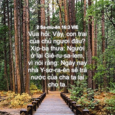 Picture 04 - 2 Sa-mu-ên 16:3 VIE - Vua hỏi: Vậy, con trai của chủ ngươi - Bible Verse Picture