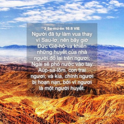 Picture 04 - 2 Sa-mu-ên 16:8 VIE - Người đã tự làm vua thay vì Sau-lơ, - Bible Verse Picture