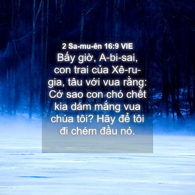 Picture 04 - 2 Sa-mu-ên 16:9 VIE - Bấy giờ, A-bi-sai, con trai của Xê-ru-gia, - Bible Verse Picture