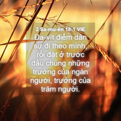Picture 04 - 2 Sa-mu-ên 18:1 VIE - Đa-vít điểm dân sự đi theo mình, rồi - Bible Verse Picture
