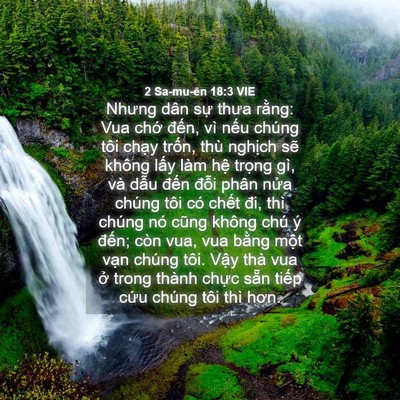 Picture 04 - 2 Sa-mu-ên 18:3 VIE - Nhưng dân sự thưa rằng: Vua chớ đến, - Bible Verse Picture
