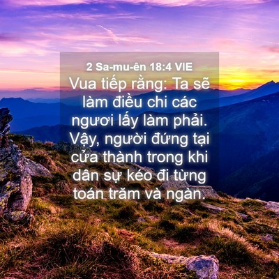 Picture 04 - 2 Sa-mu-ên 18:4 VIE - Vua tiếp rằng: Ta sẽ làm điều chi các - Bible Verse Picture