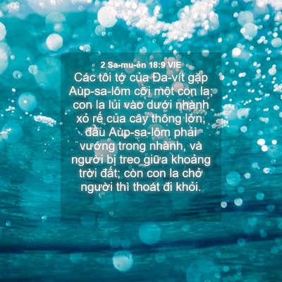 Picture 04 - 2 Sa-mu-ên 18:9 VIE - Các tôi tớ của Đa-vít gặp Aùp-sa-lôm - Bible Verse Picture