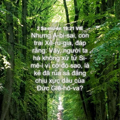 Picture 04 - 2 Sa-mu-ên 19:21 VIE - Nhưng A-bi-sai, con trai Xê-ru-gia, đáp - Bible Verse Picture