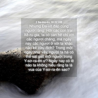 Picture 04 - 2 Sa-mu-ên 19:22 VIE - Nhưng Đa-vít đáp cùng người rằng: - Bible Verse Picture