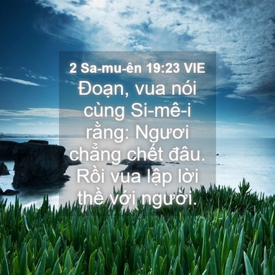 Picture 04 - 2 Sa-mu-ên 19:23 VIE - Đoạn, vua nói cùng Si-mê-i rằng: Ngươi - Bible Verse Picture
