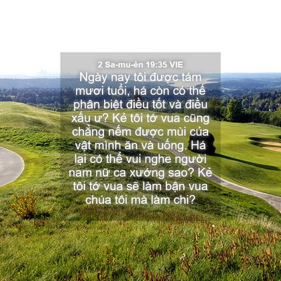 Picture 04 - 2 Sa-mu-ên 19:35 VIE - Ngày nay tôi được tám mươi tuổi, há - Bible Verse Picture