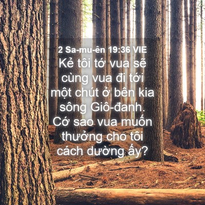 Picture 04 - 2 Sa-mu-ên 19:36 VIE - Kẻ tôi tớ vua sẽ cùng vua đi tới một - Bible Verse Picture