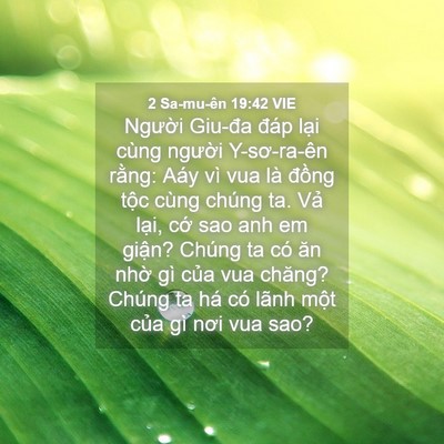 Picture 04 - 2 Sa-mu-ên 19:42 VIE - Người Giu-đa đáp lại cùng người - Bible Verse Picture