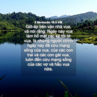 Picture 04 - 2 Sa-mu-ên 19:5 VIE - Giô-áp bèn vào nhà vua, và nói rằng: - Bible Verse Picture