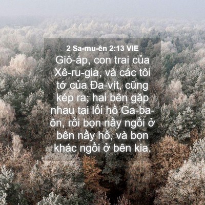 Picture 04 - 2 Sa-mu-ên 2:13 VIE - Giô-áp, con trai của Xê-ru-gia, và các - Bible Verse Picture