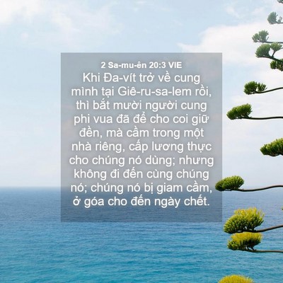 Picture 04 - 2 Sa-mu-ên 20:3 VIE - Khi Đa-vít trở về cung mình tại - Bible Verse Picture
