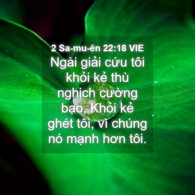 Picture 04 - 2 Sa-mu-ên 22:18 VIE - Ngài giải cứu tôi khỏi kẻ thù nghịch - Bible Verse Picture