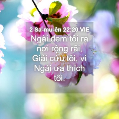 Picture 04 - 2 Sa-mu-ên 22:20 VIE - Ngài đem tôi ra nơi rộng rãi, Giải cứu - Bible Verse Picture