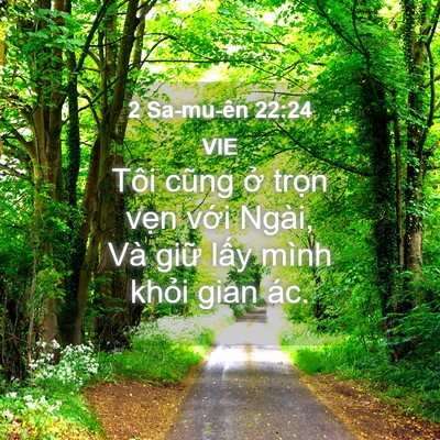 Picture 04 - 2 Sa-mu-ên 22:24 VIE - Tôi cũng ở trọn vẹn với Ngài, Và - Bible Verse Picture