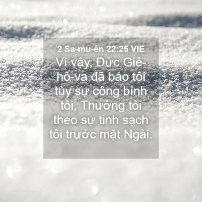 Picture 04 - 2 Sa-mu-ên 22:25 VIE - Vì vậy, Đức Giê-hô-va đã báo tôi tùy - Bible Verse Picture