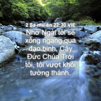 Picture 04 - 2 Sa-mu-ên 22:30 VIE - Nhờ Ngài tôi sẽ xông ngang qua đạo - Bible Verse Picture